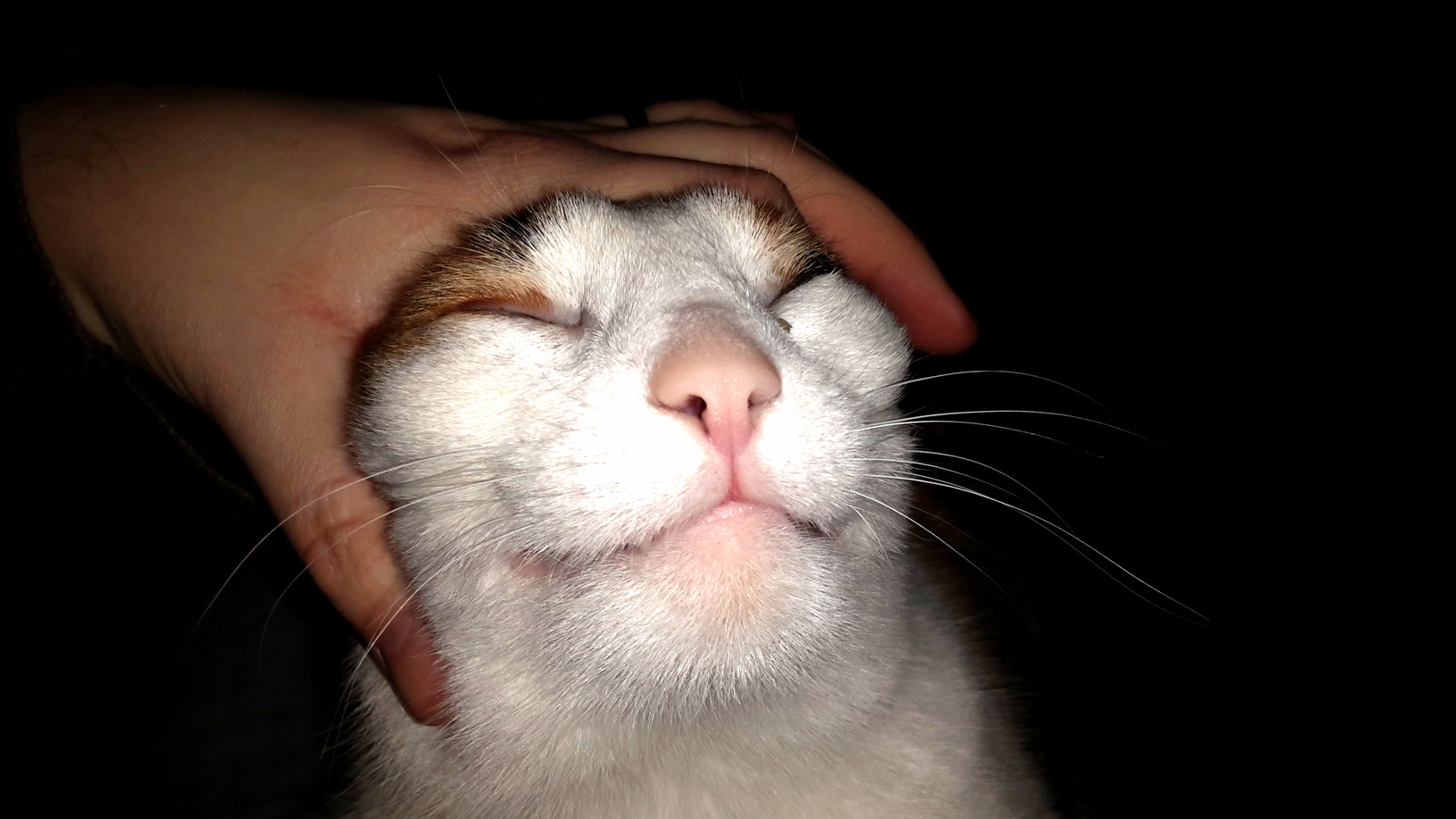 Thats the Spot X-post from Raww