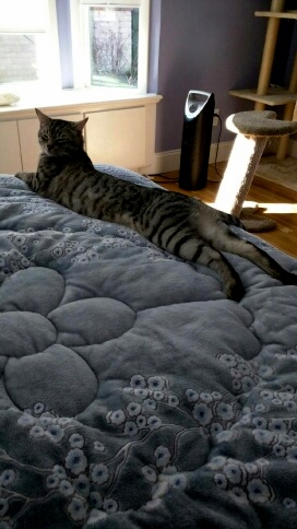 The Timeless Art of Seduction.