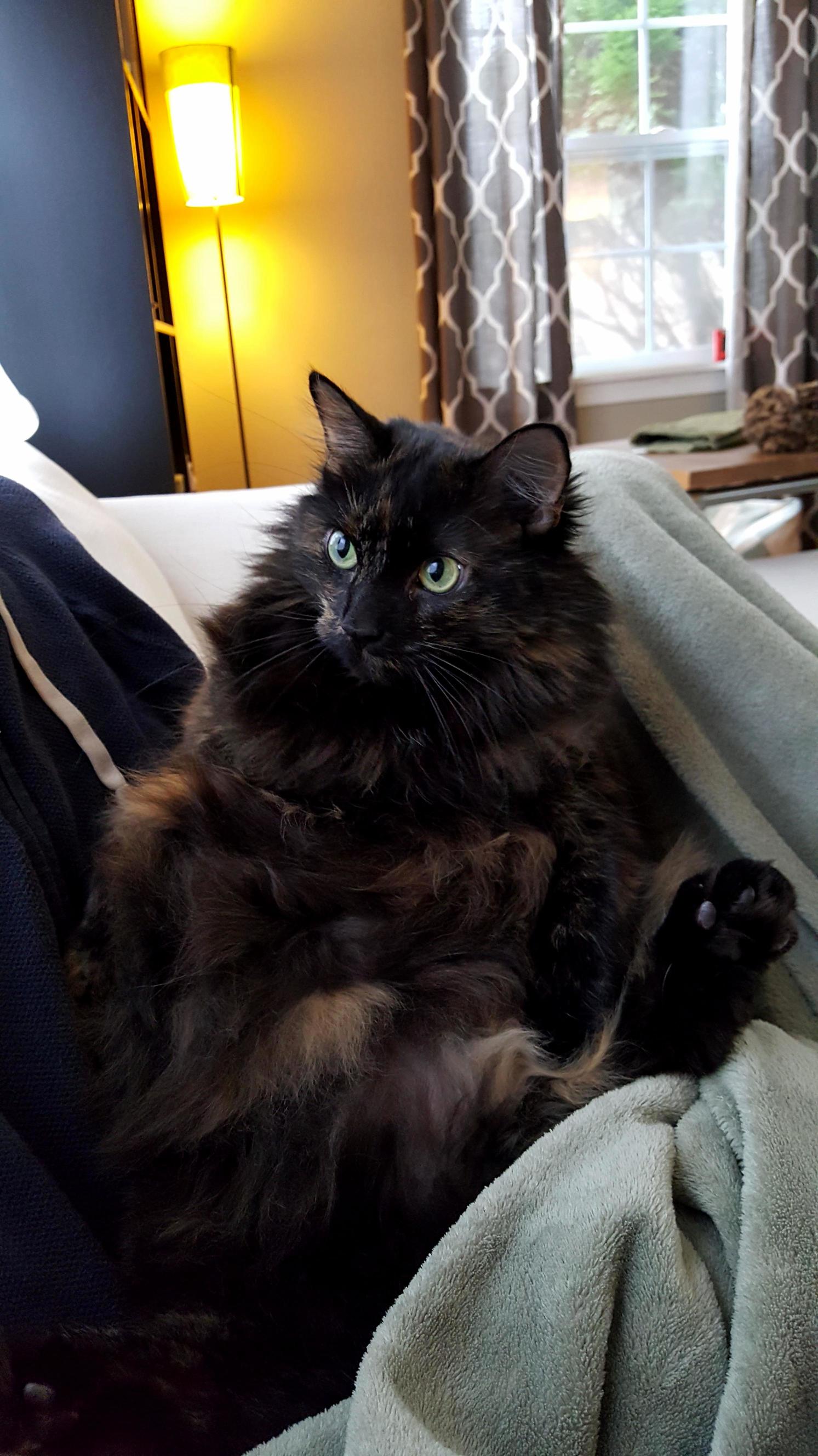 This Chunk of Love