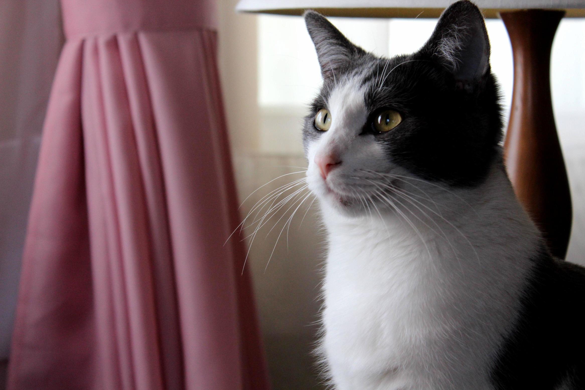This Picture Was Taken Roughly Six Hours Before She Passed Away.