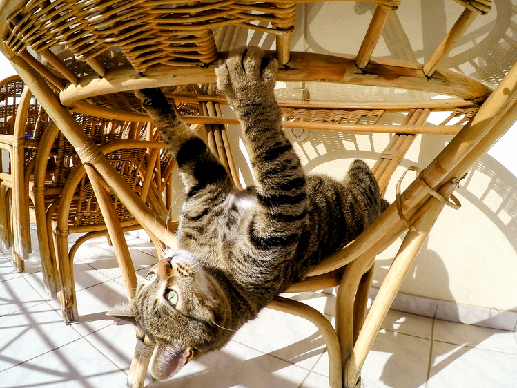 Time for Some Morning Stretching