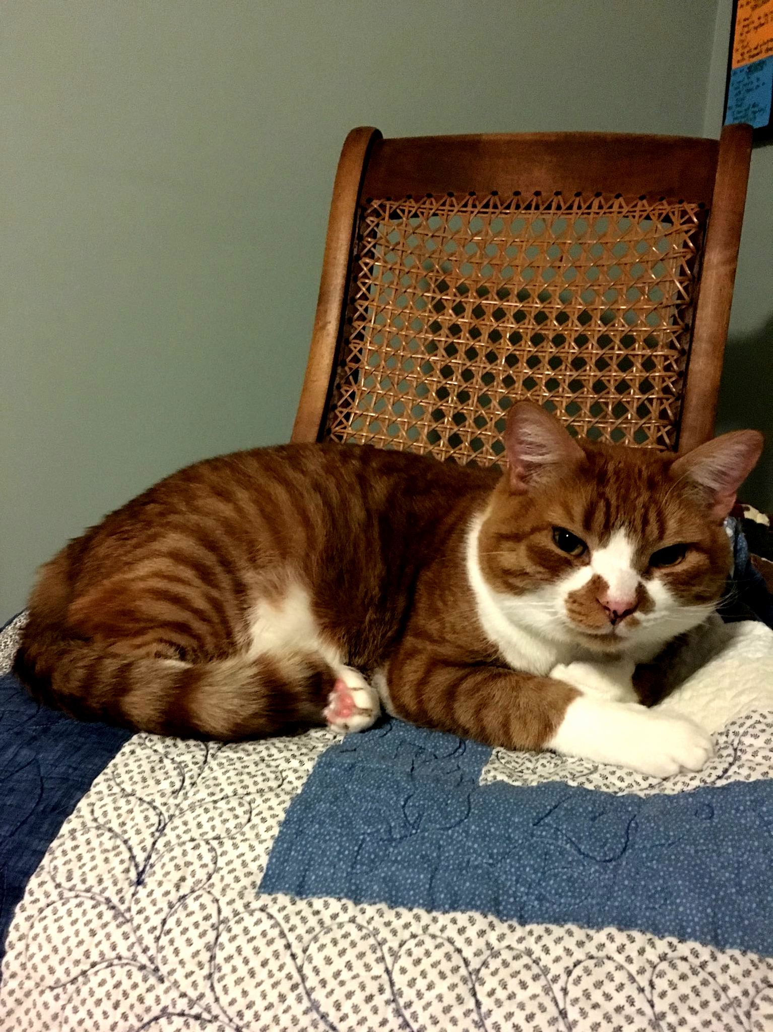 What He Does Best