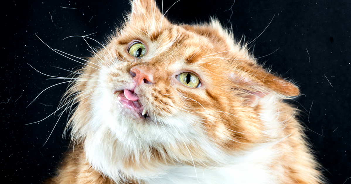 When He Saw the Fish