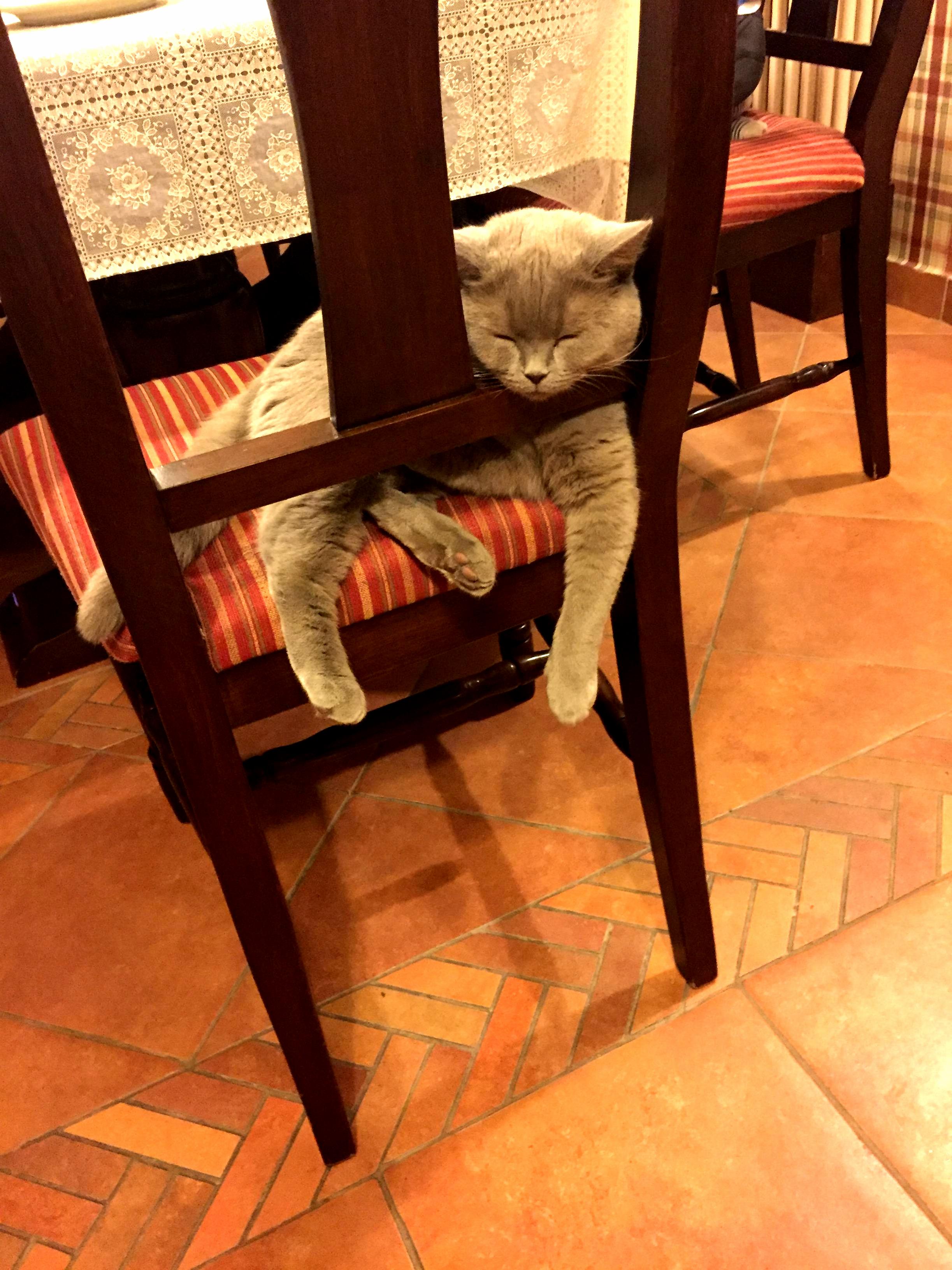 When Youre Just Too Tired to Care About Where You Fall Asleep