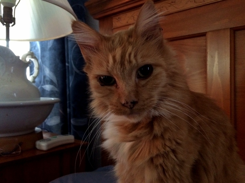 16 Year Old Lulus Still Beautiful