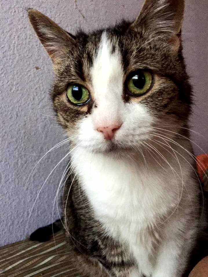 Britches Still Looks Pretty Great for Being 18 and Epileptic.