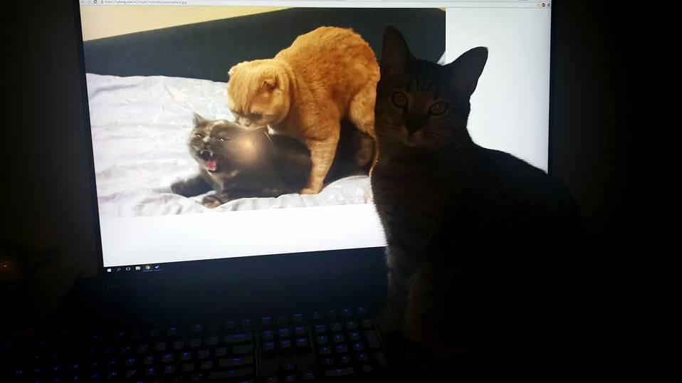 Busted