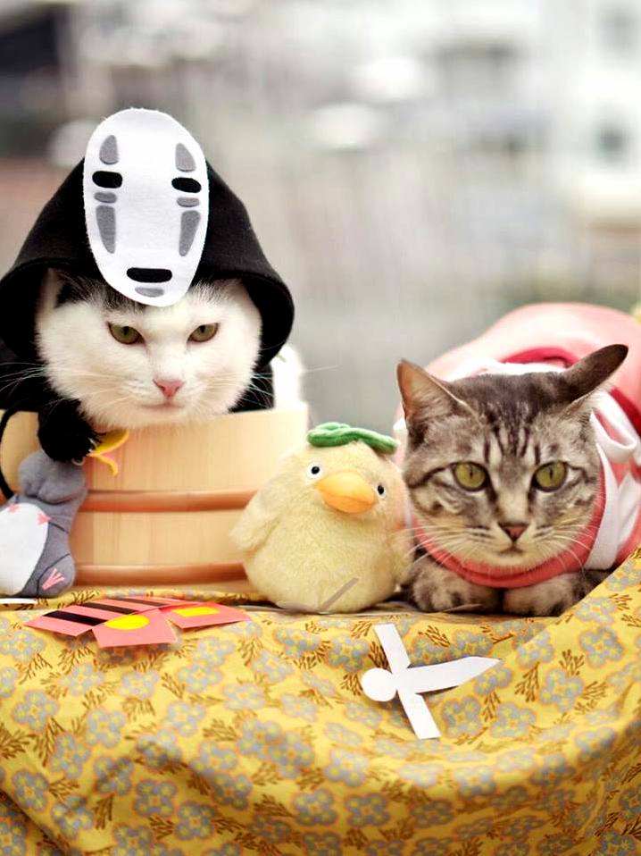 Cats Cosplaying Spirited Away