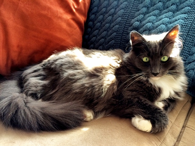 Flo Enjoying Sunday Sun