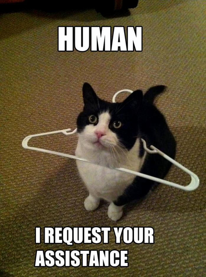 Hooman I Need Your Help