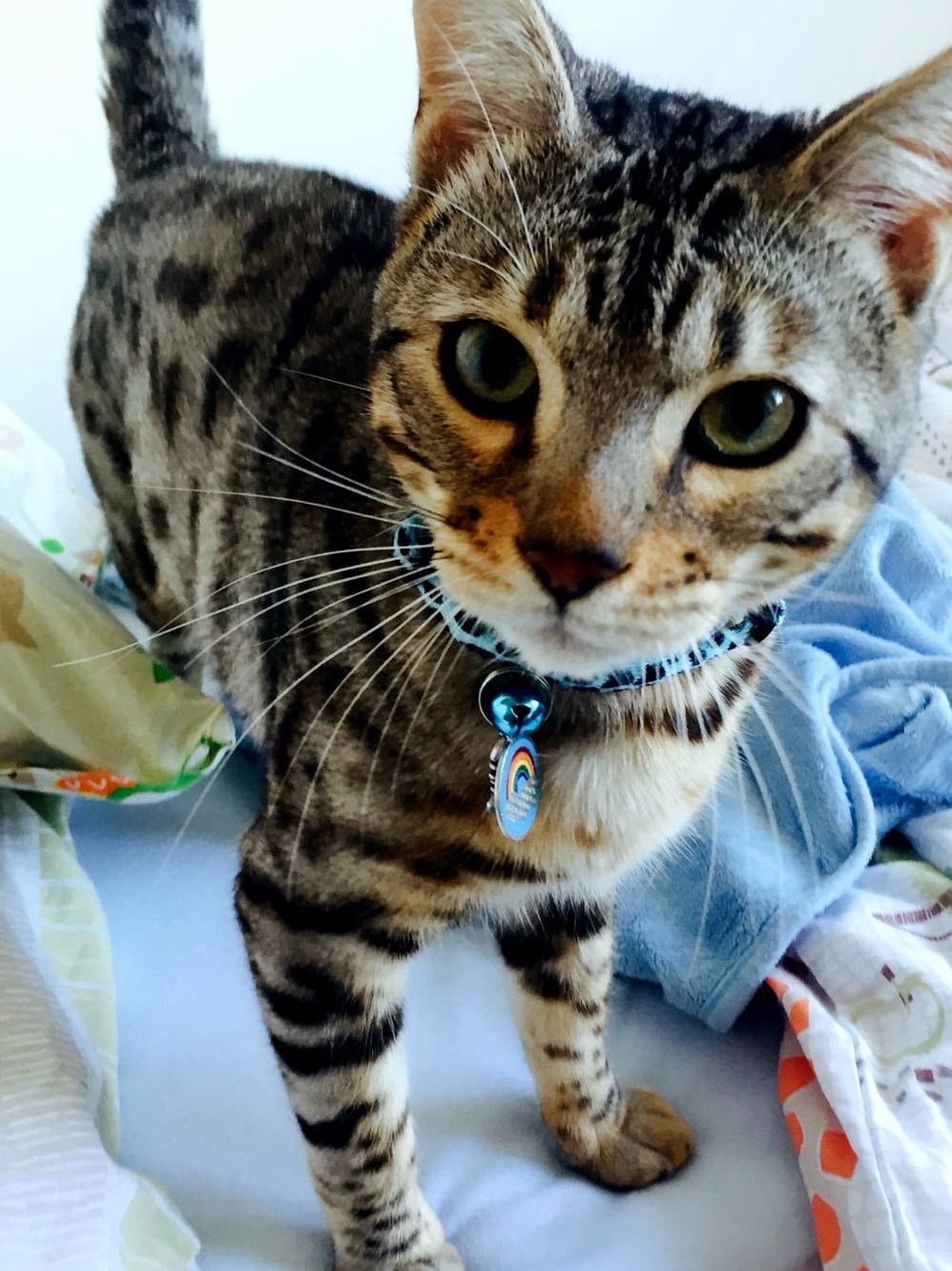 I Cant Believe This Trouble Maker Is One Year Old