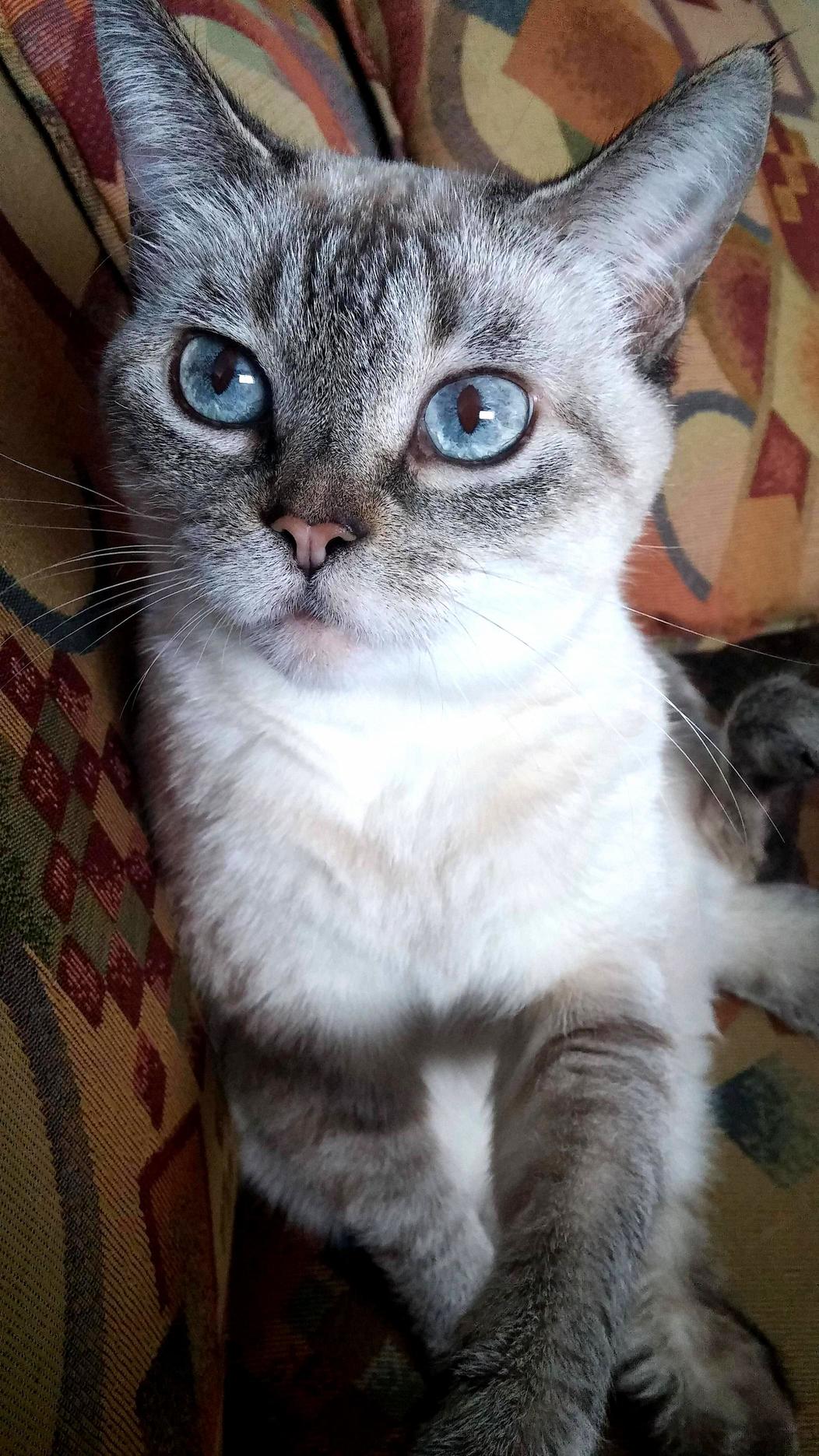 I Love Her and Her Blue Eyes So Much