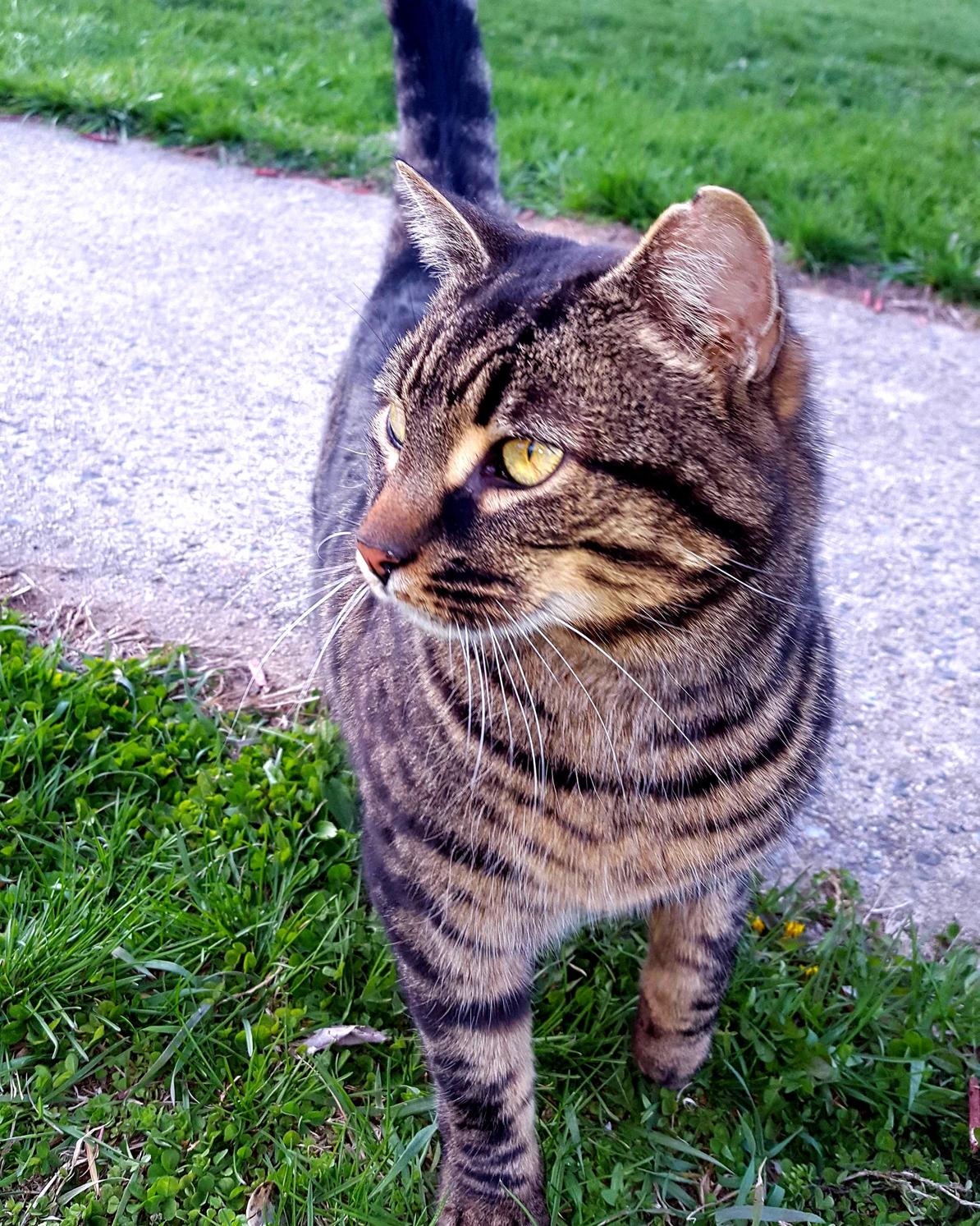 I Made a Friend While Delivering Pizzas.
