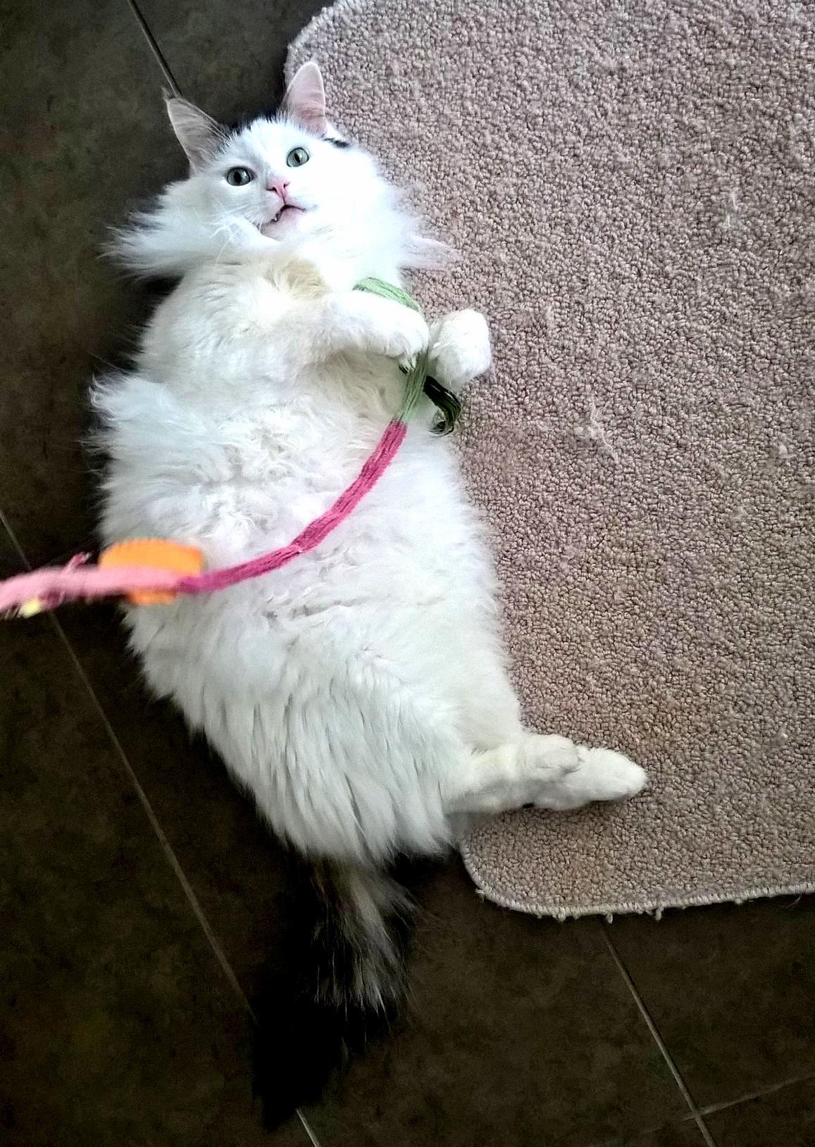 Its My String