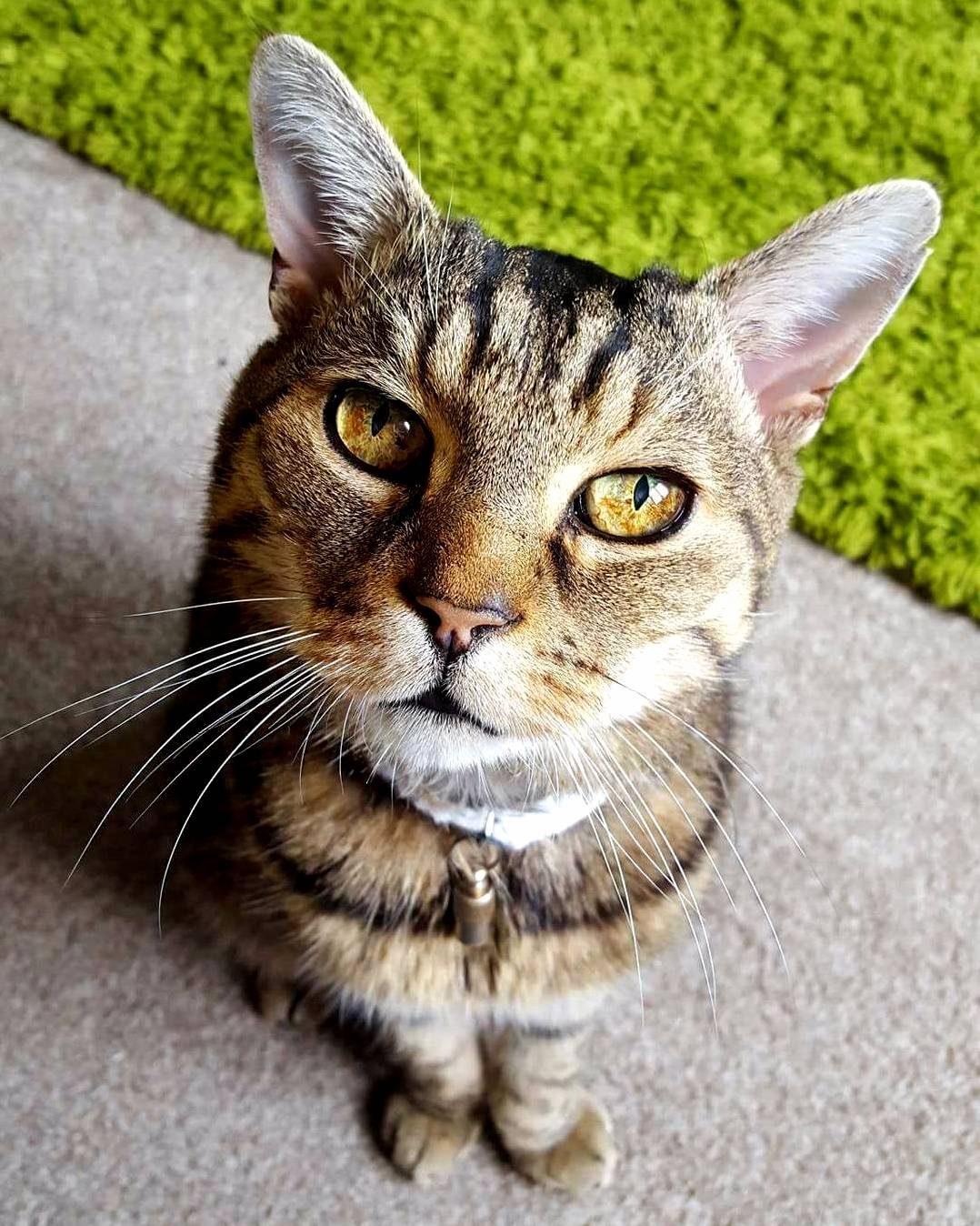 Look Into My Eyes...