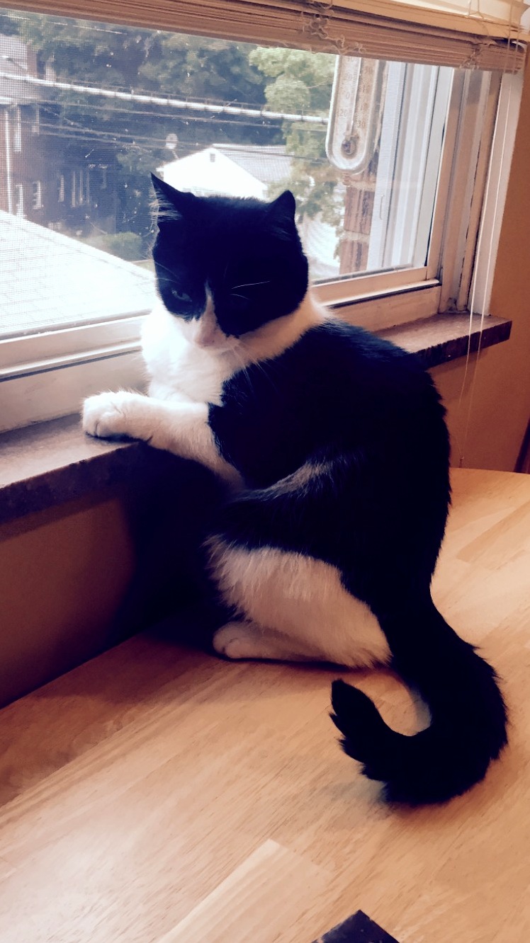 Meet Francesca. This Is Where She Goes to Ponder the Hard Truths of Life.