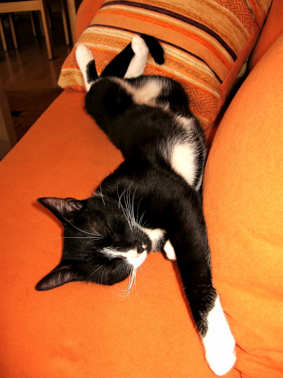 Nothing Like a Lazy Afternoon