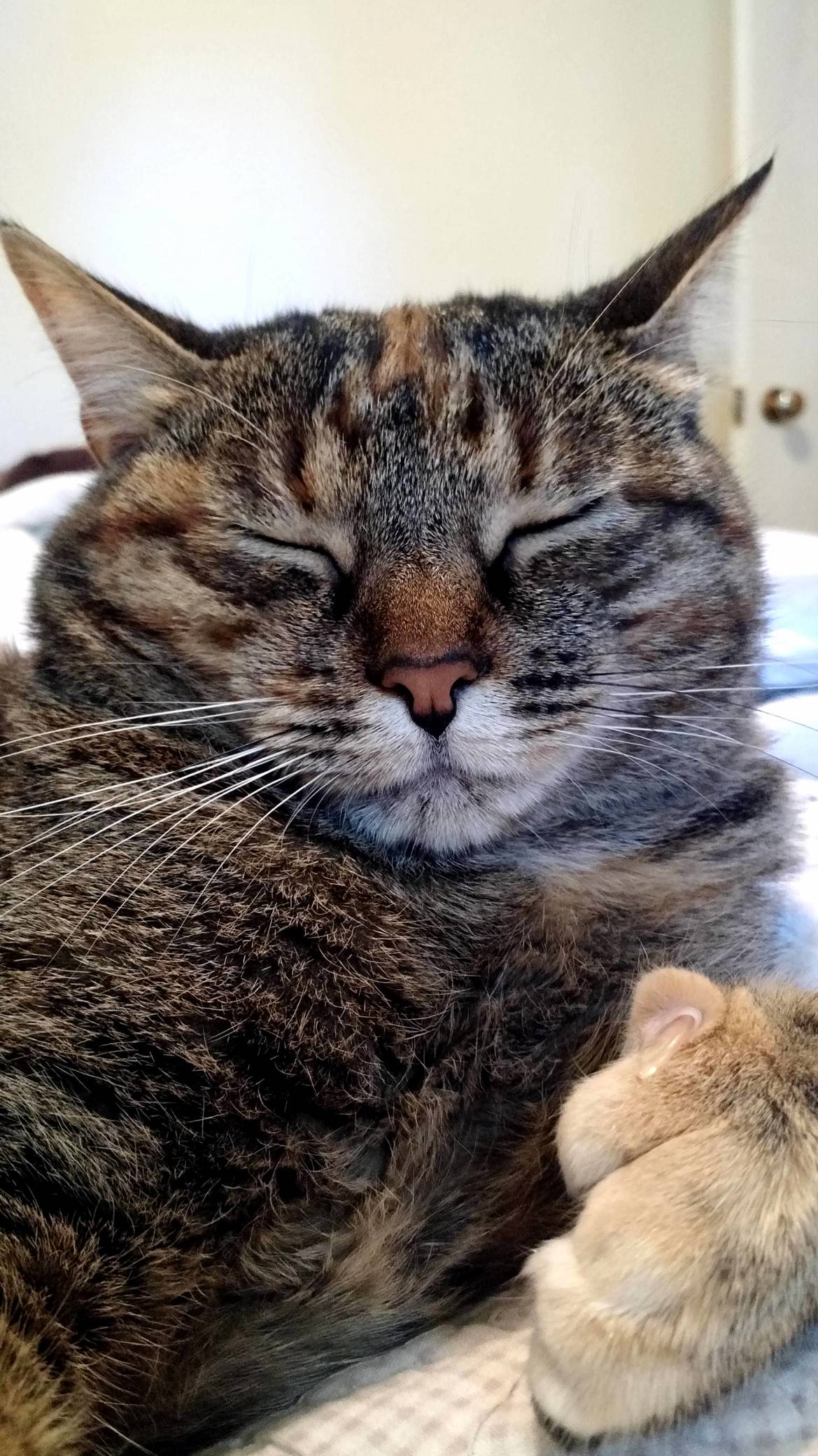 Sleeping Beauty