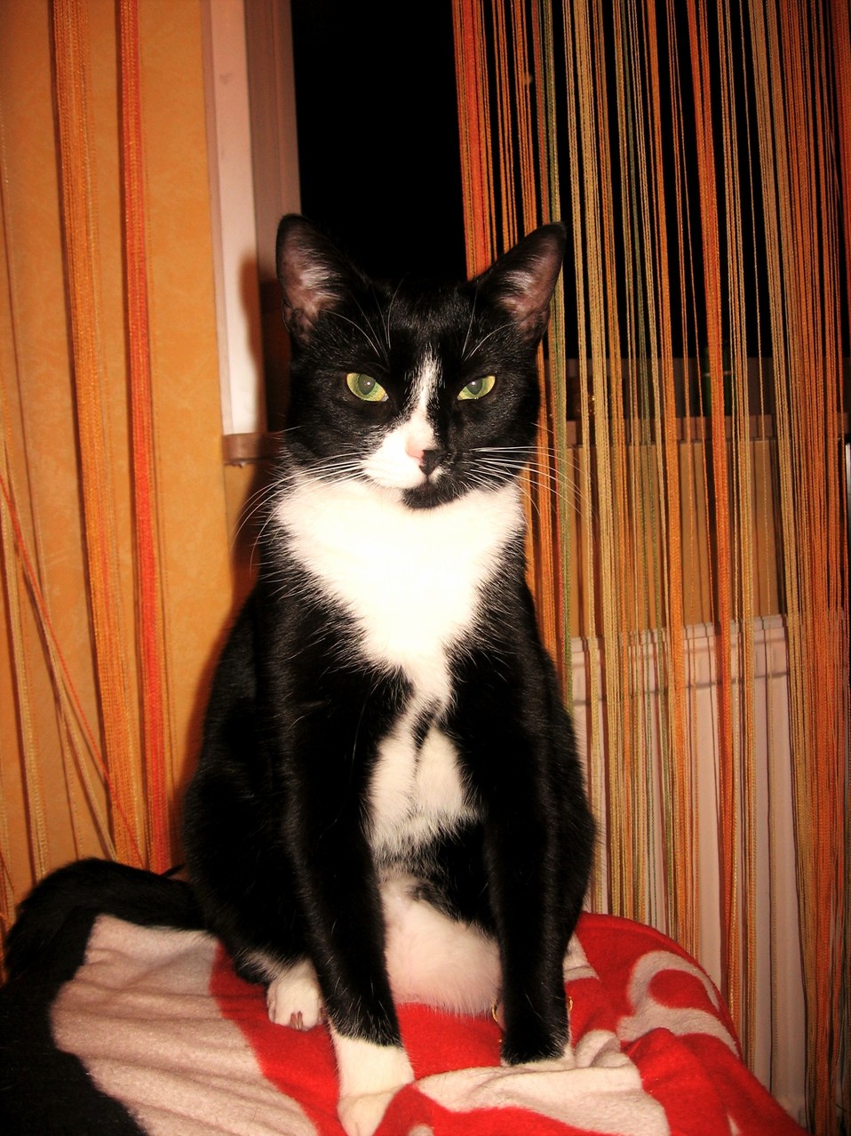 With That Look She Tells Me Its Time to Go to Bed Now