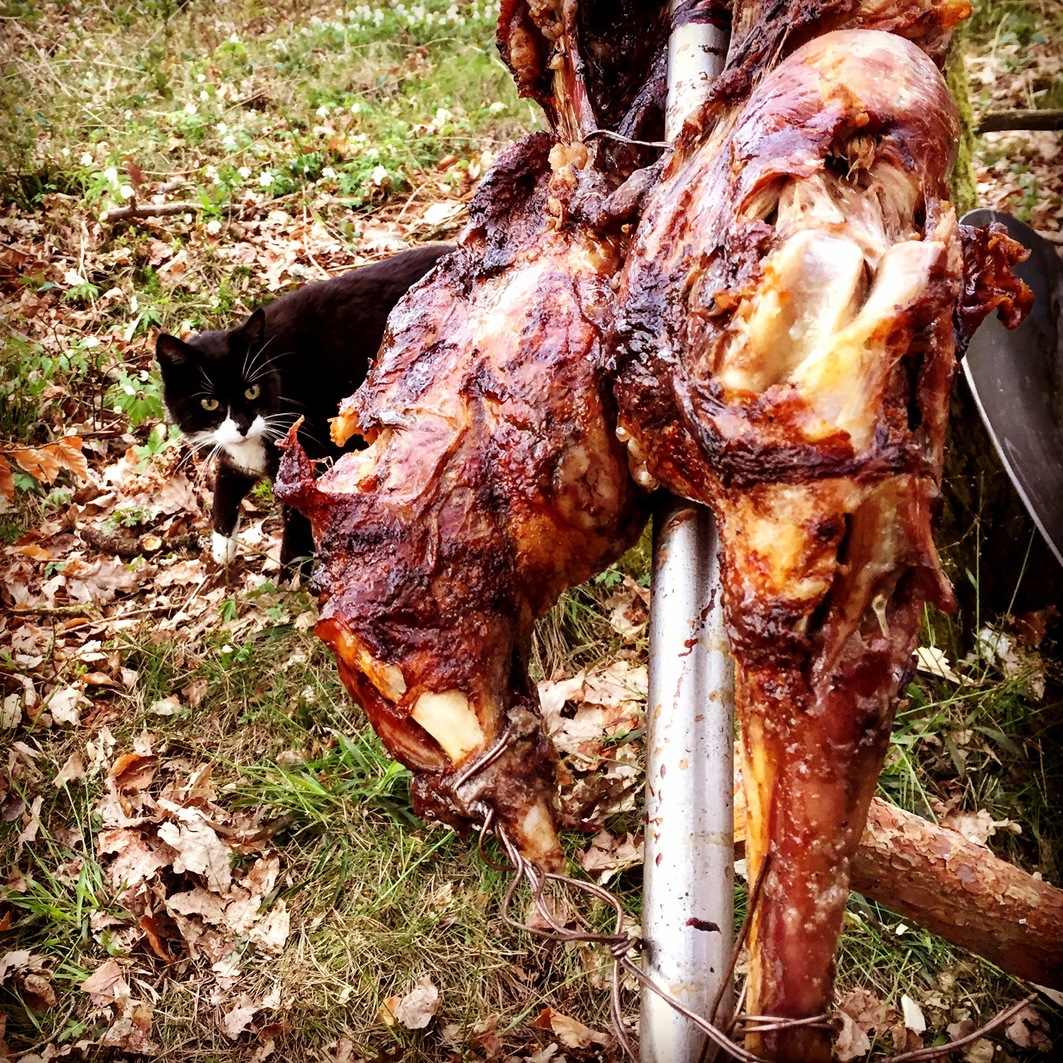 Can I Has Some Lamb