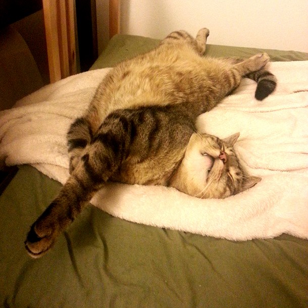 Fell Asleep While Stretching