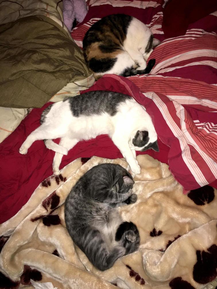 Sleeping Styles