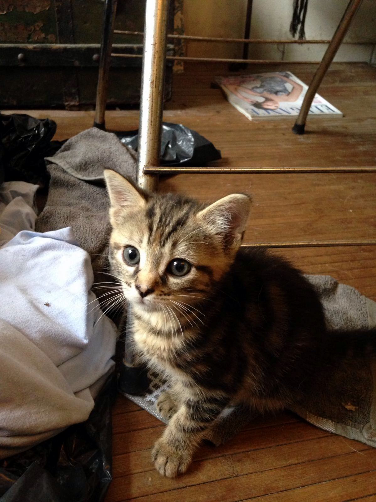22 Days Until I Can Take This Little Ball of Cuteness Back Home... and Counting.