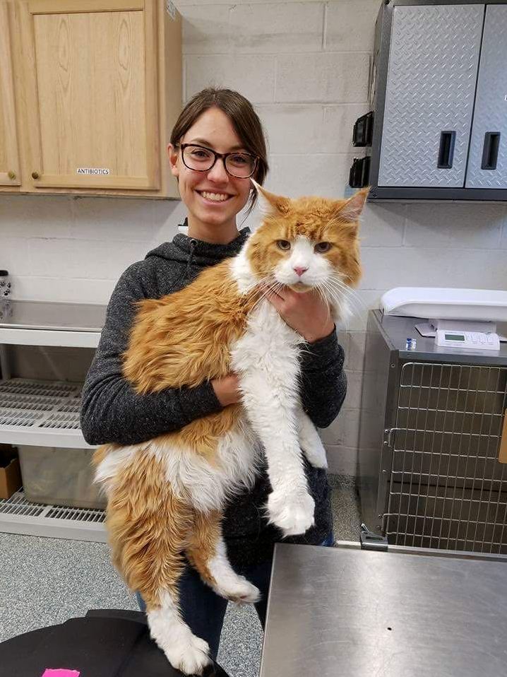 A Cat at a Local Shelter. His Name Is Edgar.