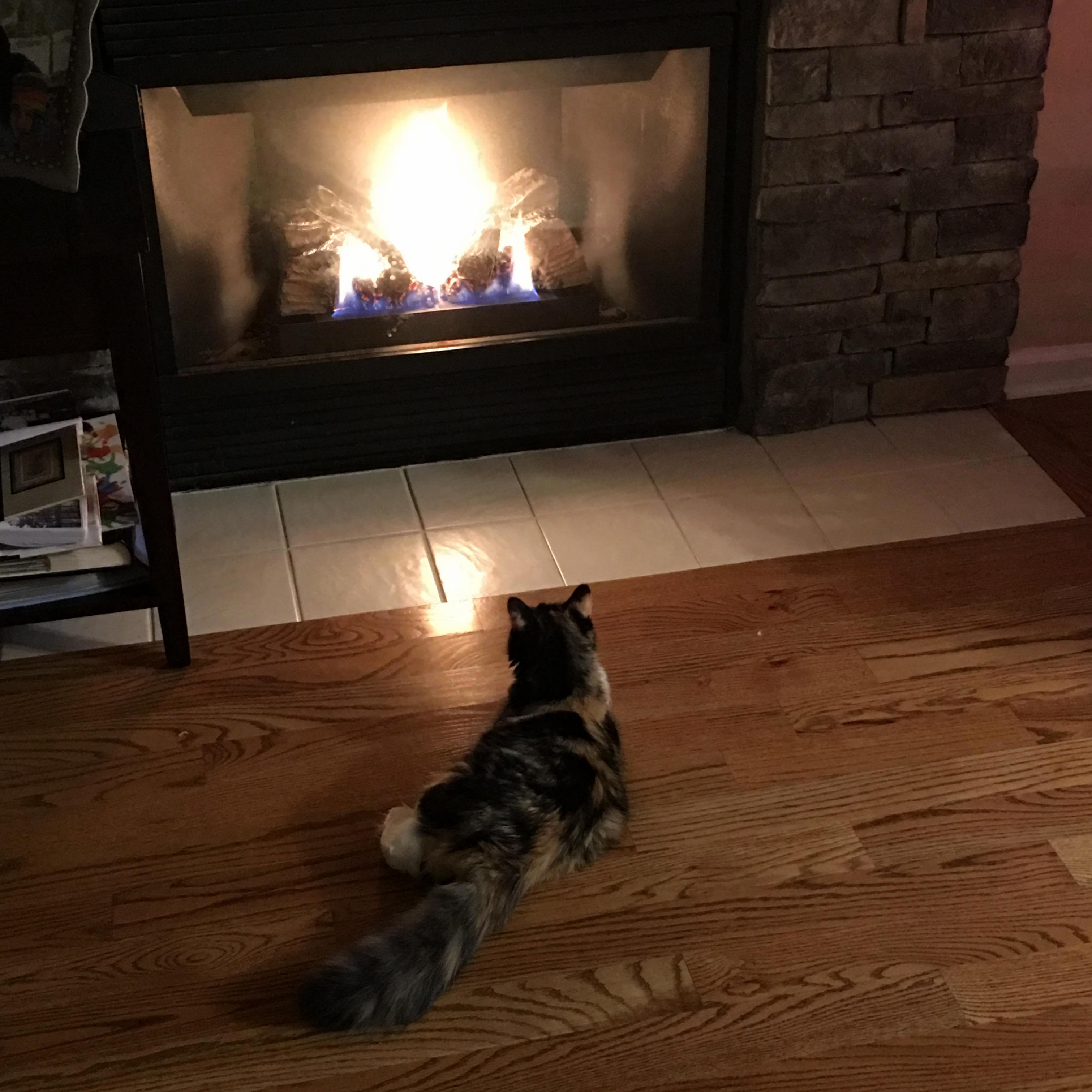 A Cold Winter Evening