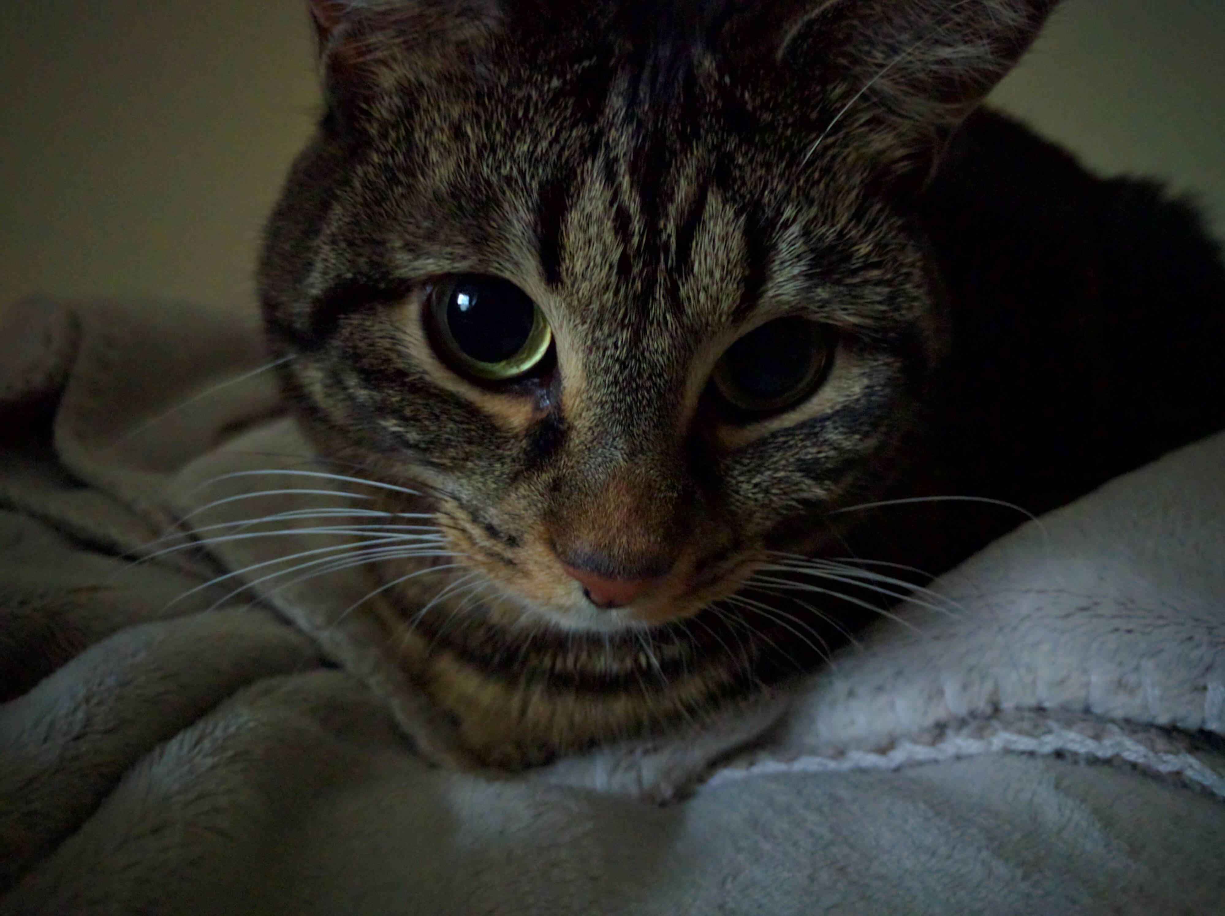 A Look Full of Love