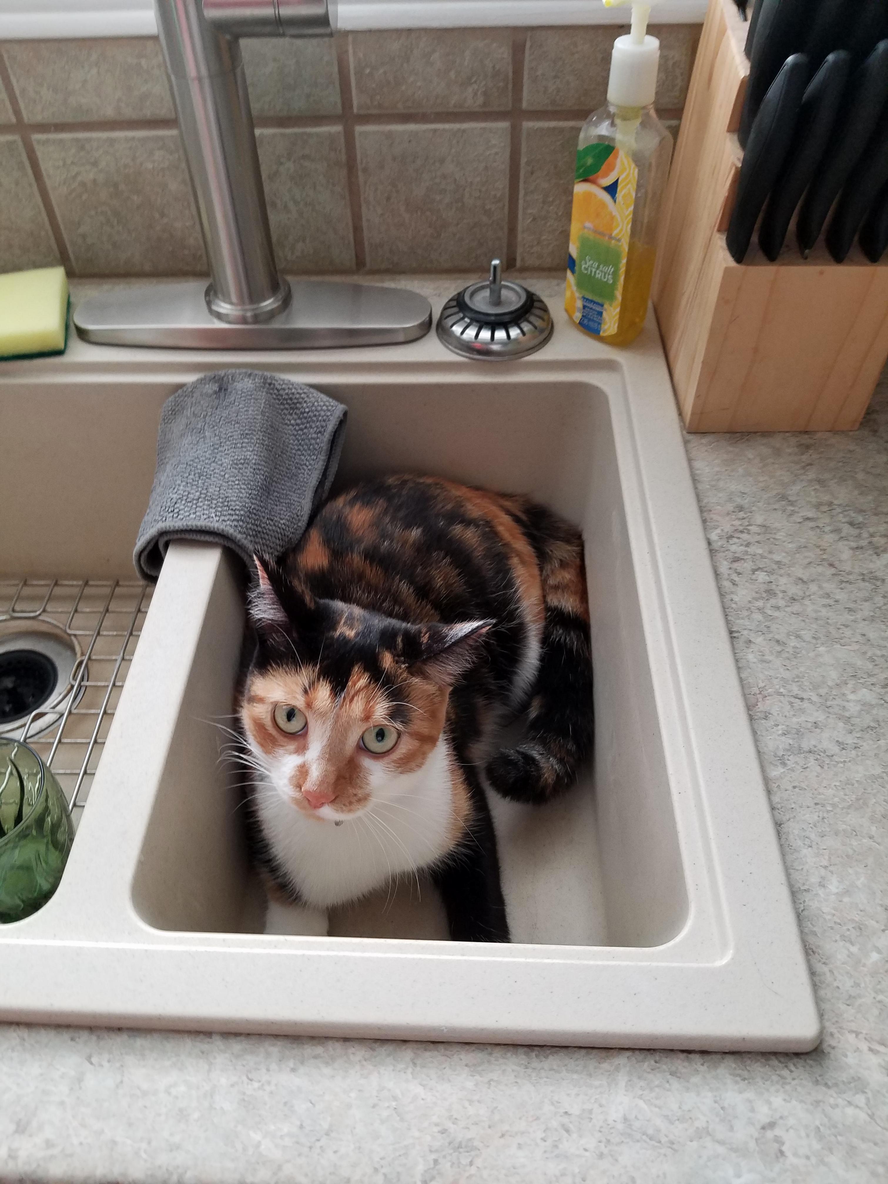 Always Strategically in the Most Inconvenient Place