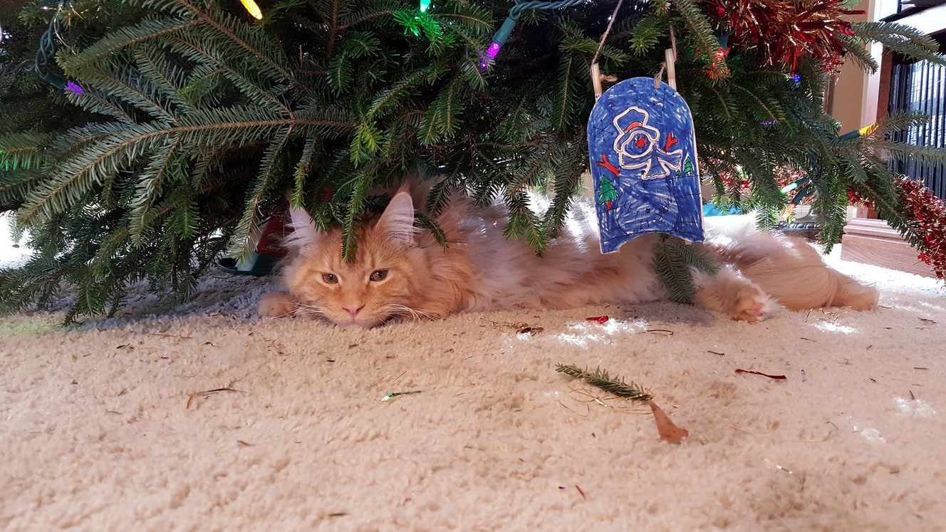 Andy Is Taking a Break from a Busy Morning of Tree Destruction.