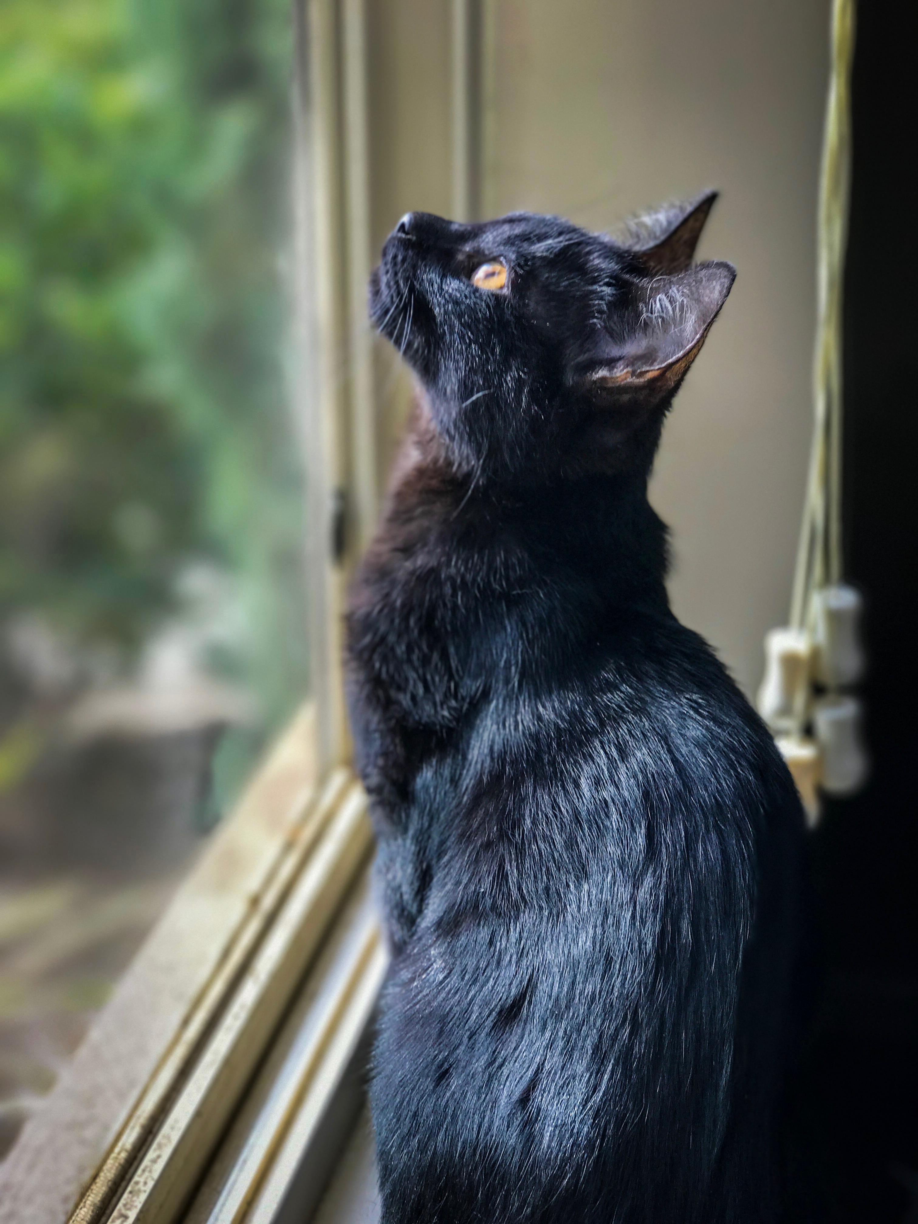 Archie Watching Rain Fall for the First Time.