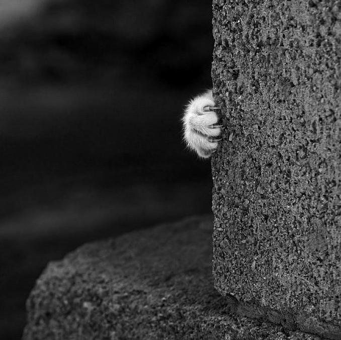 Around the Corner