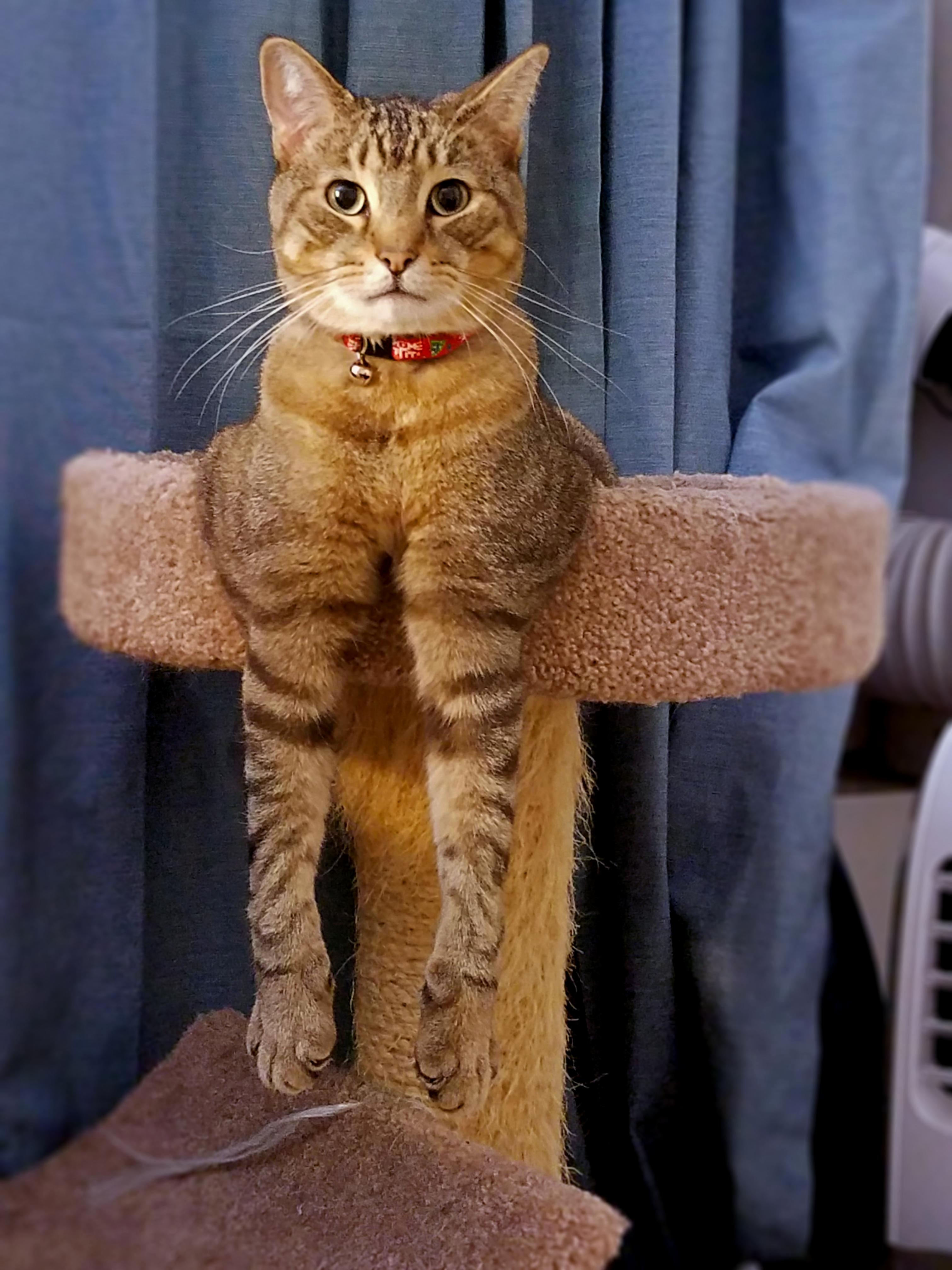 Awkward Pose