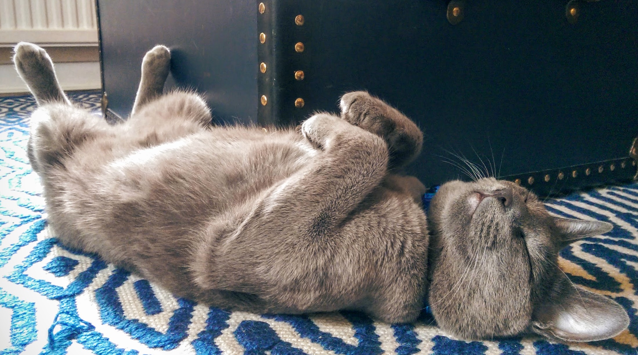 Belly So Soft Motherf Kers Wanna Find Me