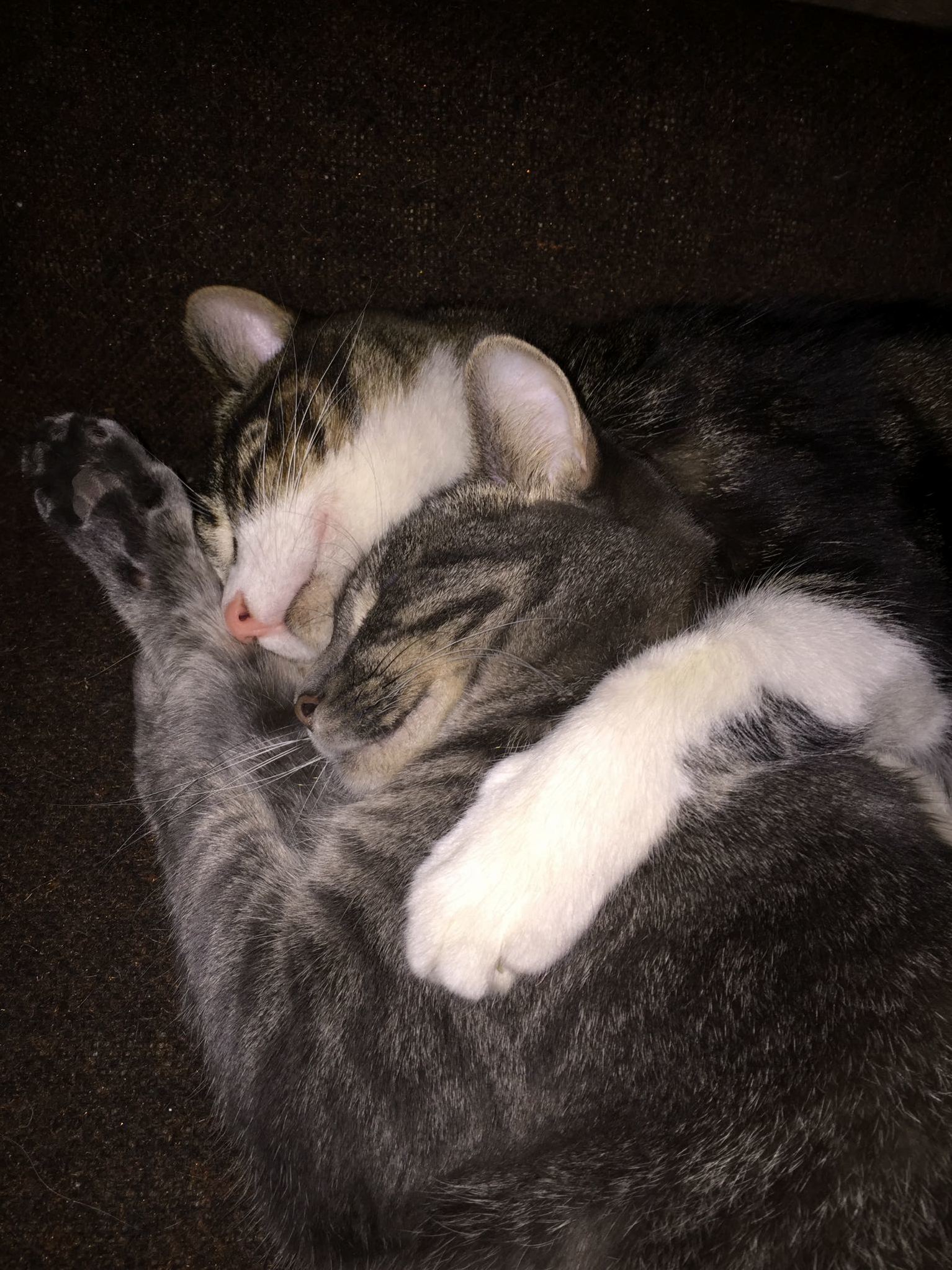 Best Buds