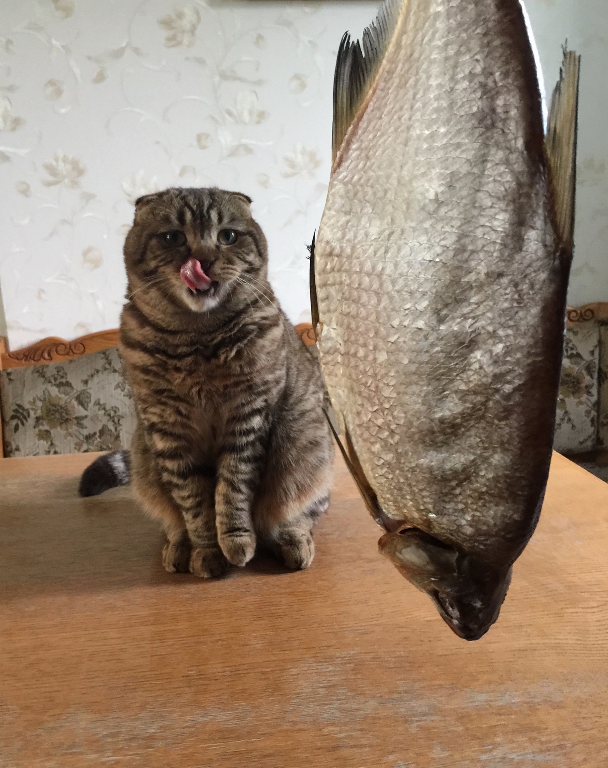 Big Fish