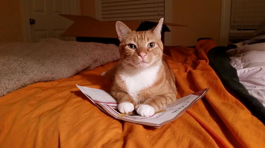 Blanket Box or Paper Paper.