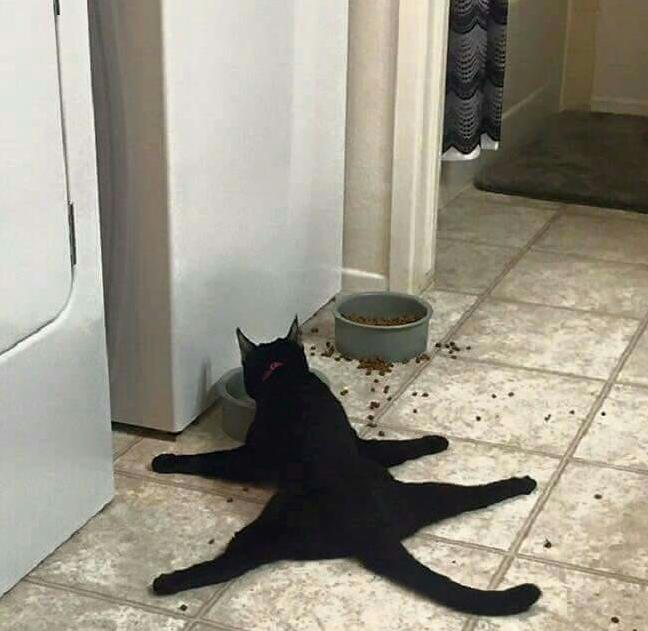 Cat.exe Must Restart in Recovery Mode.