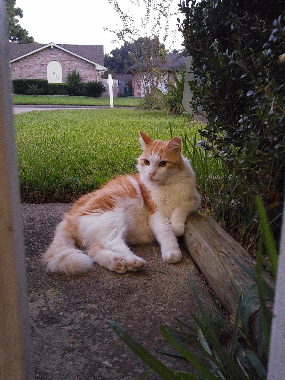 Chillin Like a Boss...