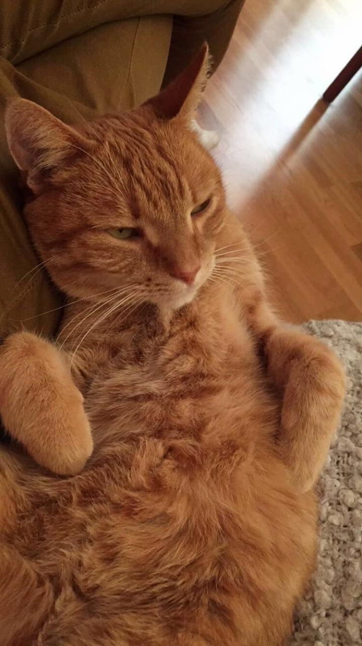 Chilling.