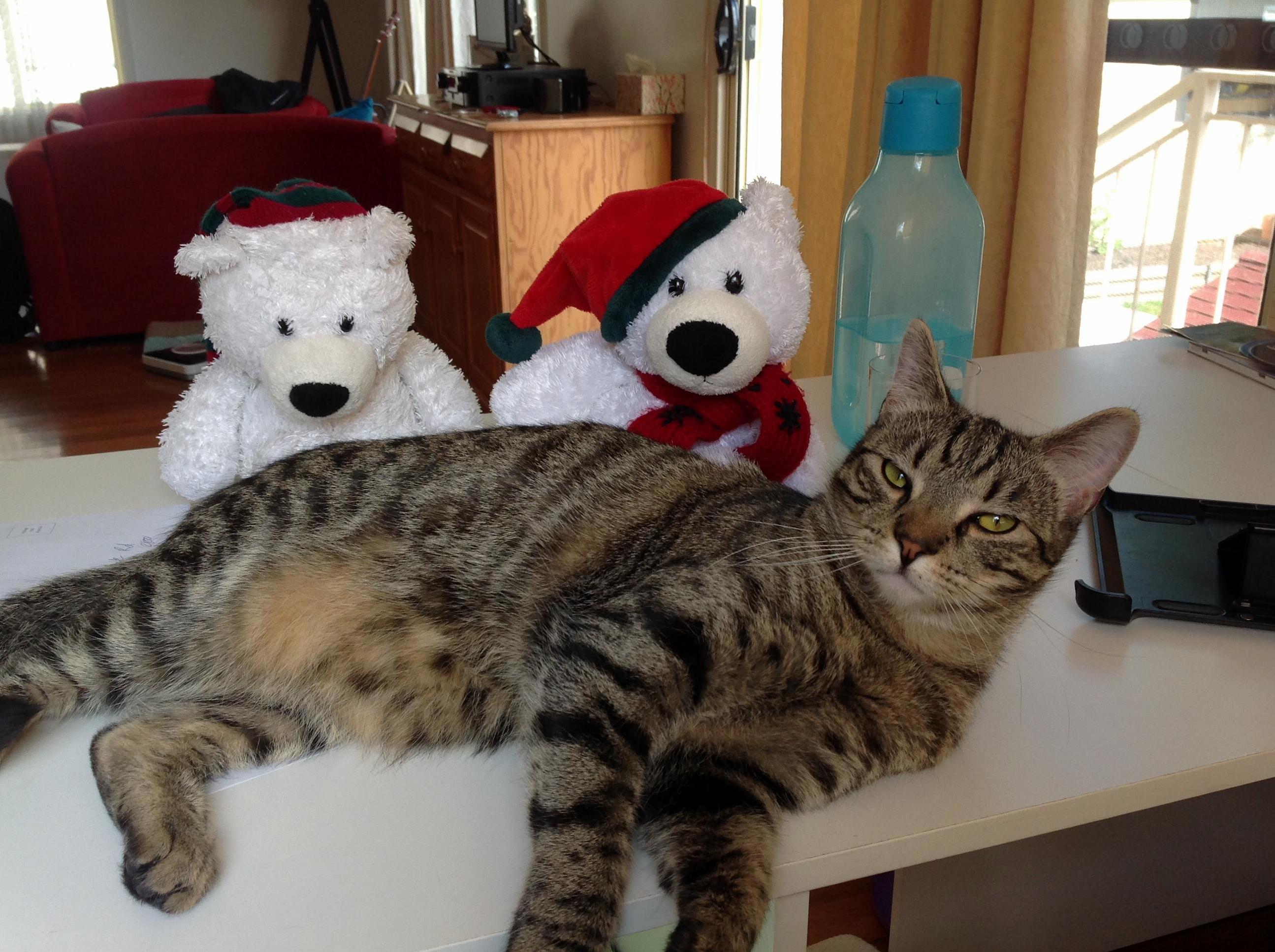 Christmas Cheer