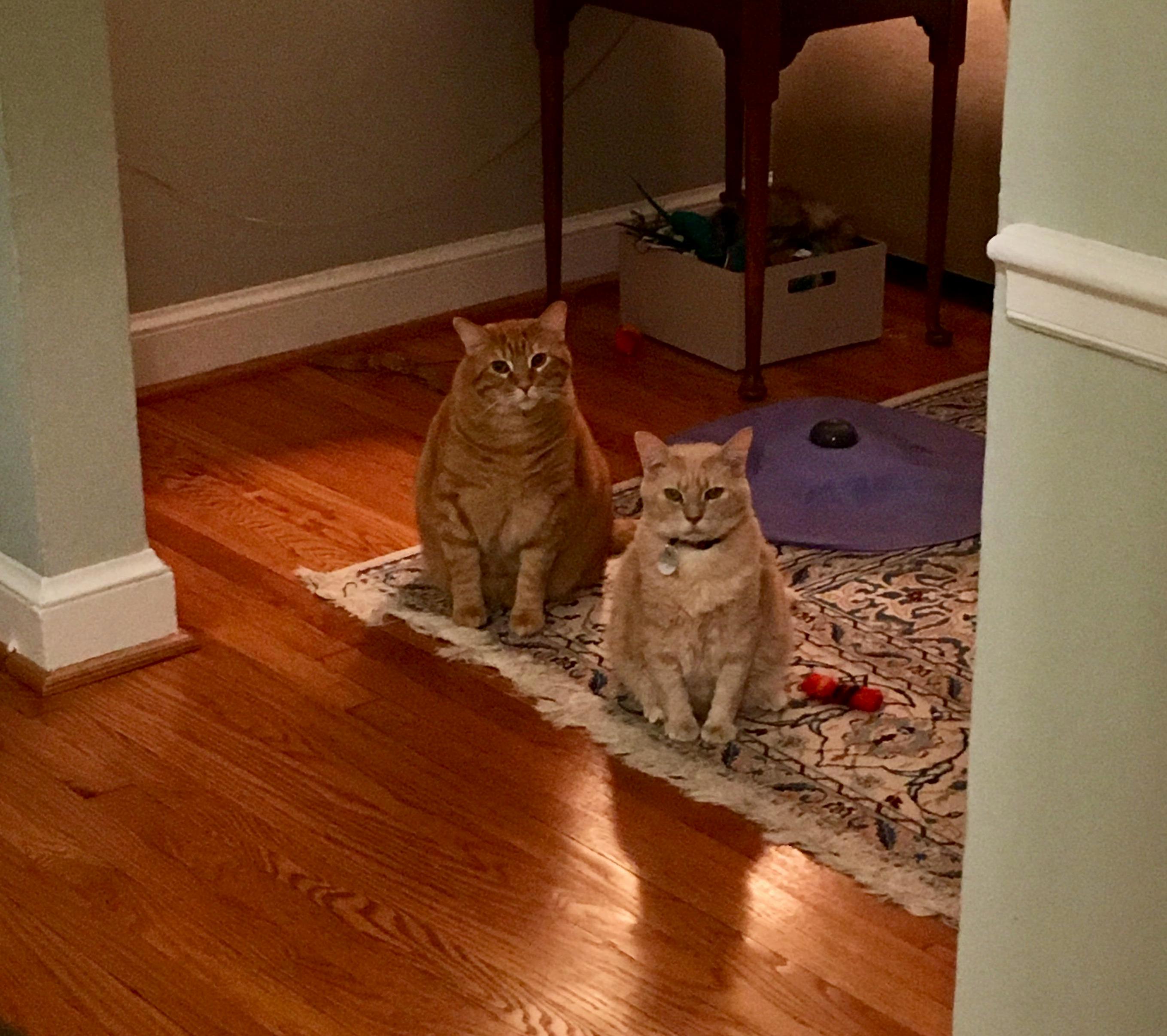 Come Play with Us Danny. Forever and Ever and Ever.