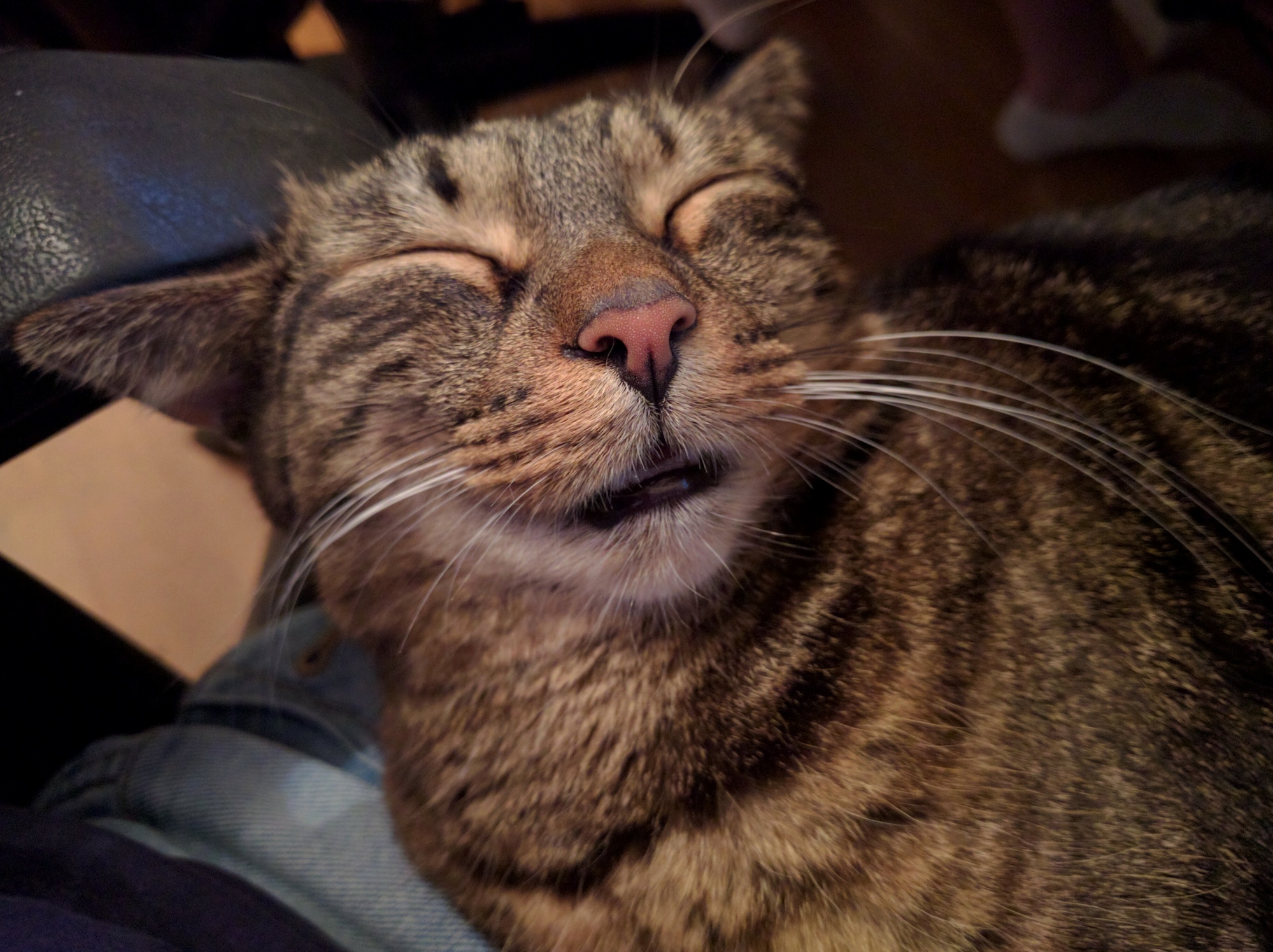 Complete Relaxation