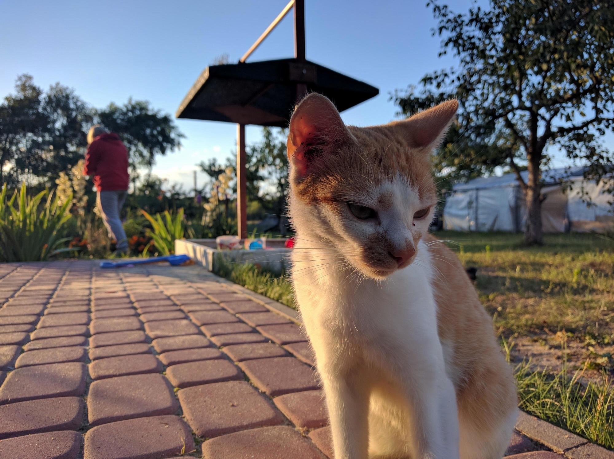 Contemplating His Past Actions