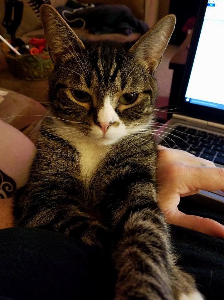 Do You See How I Starve Him He Has Come to Inform Me That He May Not Make It 15 More Minutes Til Dinnertime.
