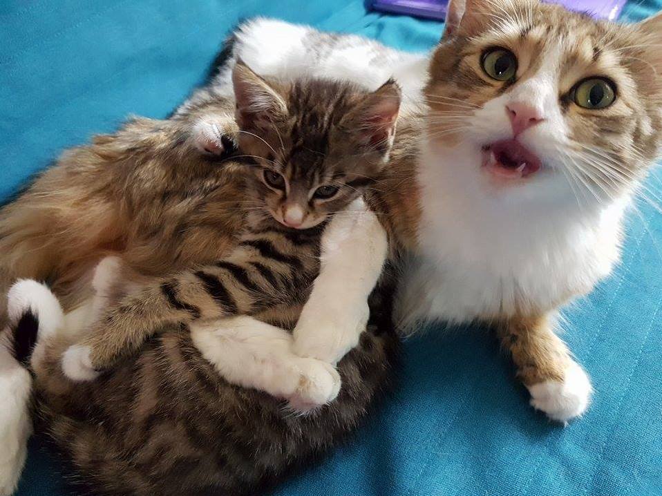 Dont Touch My Baby