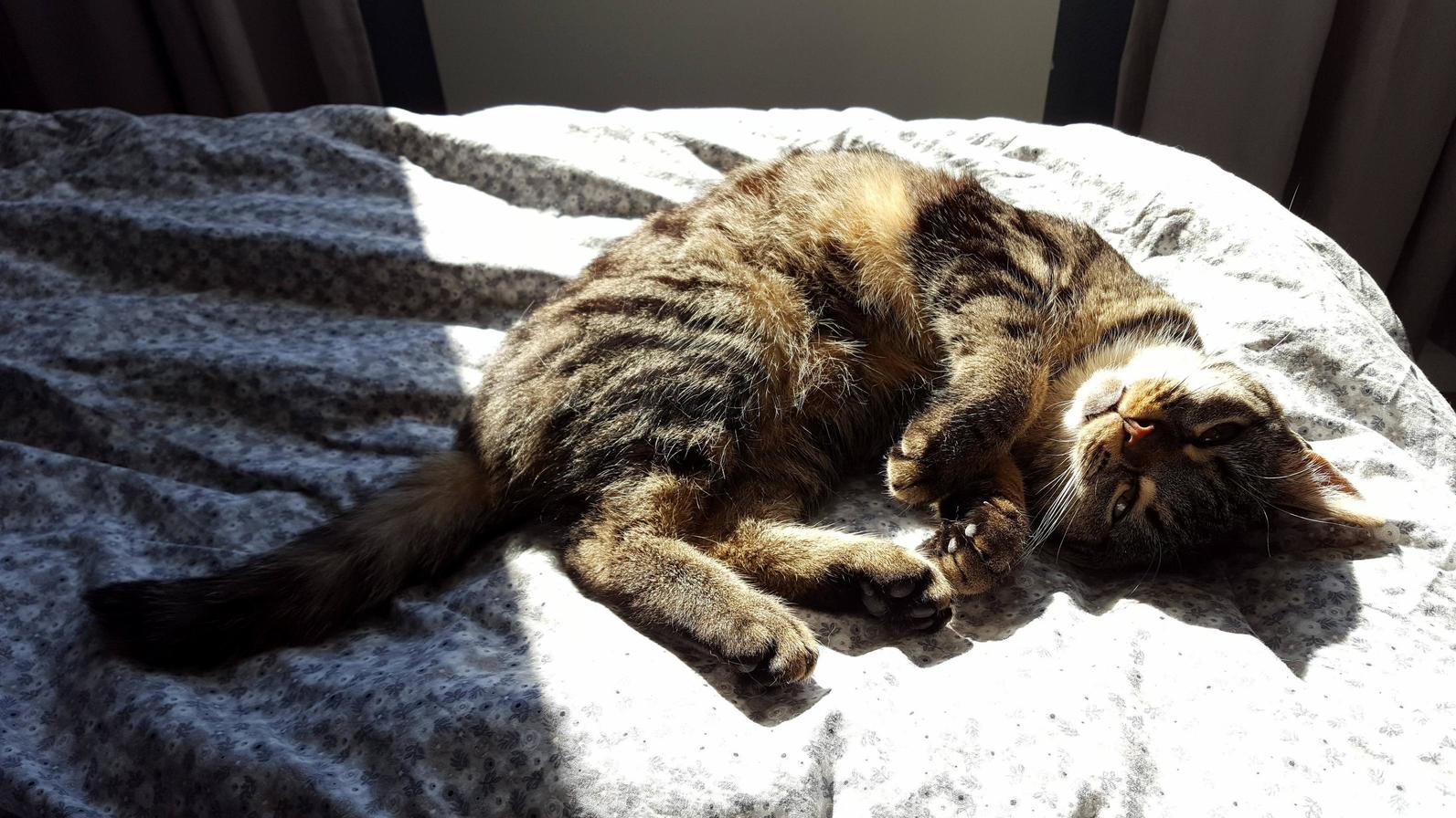 Draw Me Like One of Your French Girls