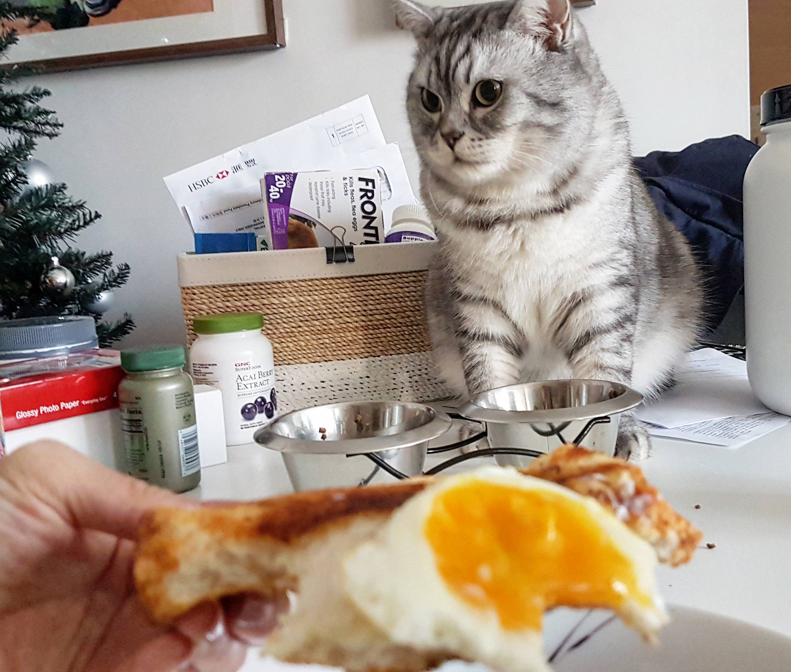 Eating Breakfast with Waffles